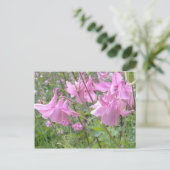 Pink Columbine Blume Postcard Postkarte (Stehend Vorderseite)