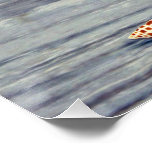 Pink Conch Junonia Seashell Fotografie Poster (Ecke)