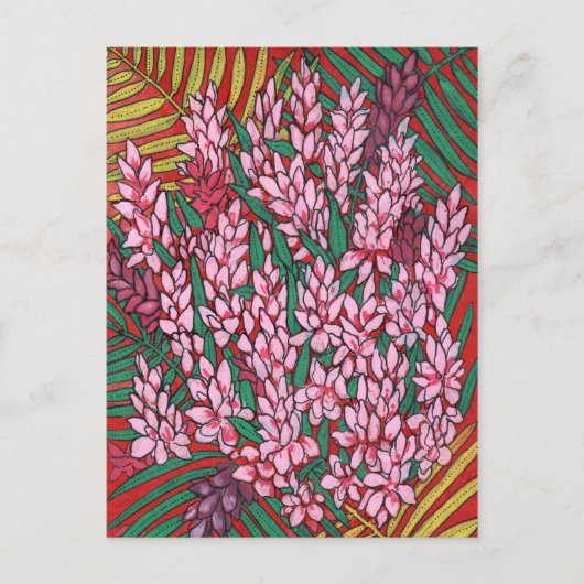 Pink Cone Ginger Alpinia Tropische Blume Postkarte (Vorderseite)