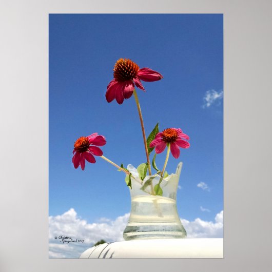 Pink conefwers Blume Poster (Vorne)