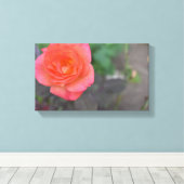 Pink Coral Rose Natur Fotografie Blume Pflanze Leinwanddruck (Insitu (Holzboden))