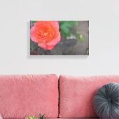 Pink Coral Rose Natur Fotografie Blume Pflanze Leinwanddruck (Insitu (Wohnzimmer))