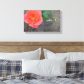 Pink Coral Rose Natur Fotografie Blume Pflanze Leinwanddruck (Insitu (Schlafzimmer))