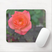 Pink Coral Rose Natur Fotografie Blume Pflanze Mousepad (Mit Mouse)