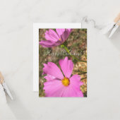 Pink Cosmo Blume Sommergartenfotografie Karte (Vorderseite/Rückseite Beispiel)