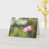Pink Cosmos Blume Später Nachmittag Bokeh Karte (Gelbe Blume)
