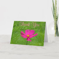 Pink Cosmos Danke Karte