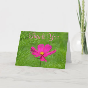 Pink Cosmos Danke Karte