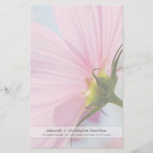 Pink Cosmos ・ Geschirr Briefpapier