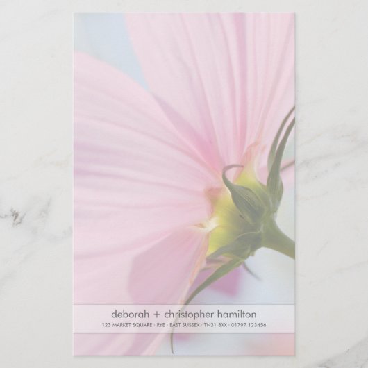 Pink Cosmos ・ Geschirr Briefpapier (Vorderseite)