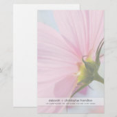 Pink Cosmos ・ Geschirr Briefpapier (Vorne/Hinten)