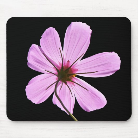 Pink Cosmos PNG Mousepad (Vorne)
