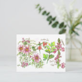 Pink Cosmos Snapdragon Blume Sketch Postkarte (Stehend Vorderseite)