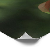 Pink Crab Apfelblüten Leinwand oder Poster (Ecke)