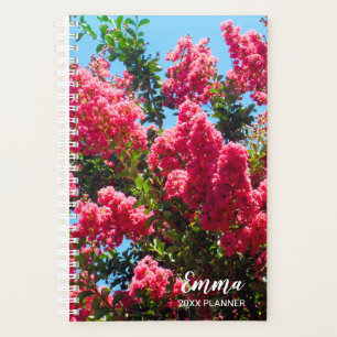 Pink Crape Myrtle Tree Blume Fotografie Planer
