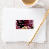 Pink Cream Hydrangeas gelb rosa grüne Blüte Adressaufkleber (Insitu)