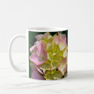 Pink Cream Hydrangeas gelb rosa grüne Blüte Kaffeetasse