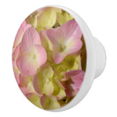 Pink Cream Hydrangeas gelb rosa grüne Blüte Keramikknauf (Rechts)