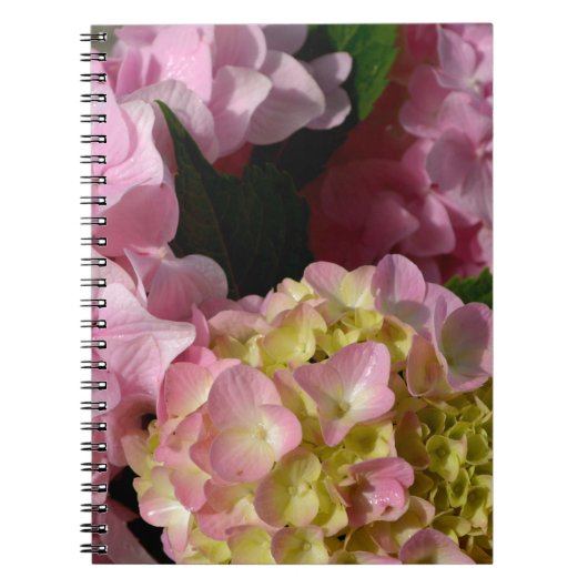 Pink Cream Hydrangeas gelb rosa grüne Blüte Notizblock (Vorderseite)