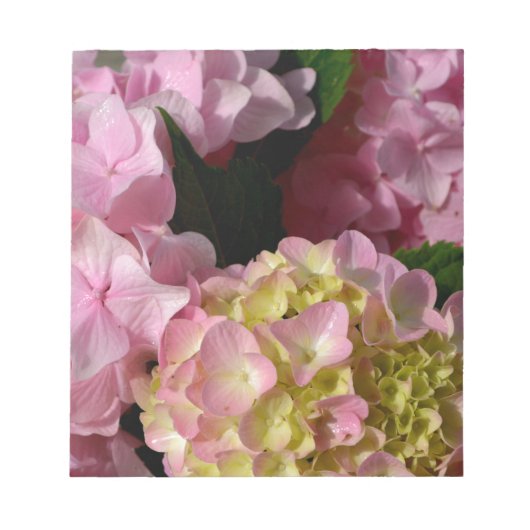 Pink Cream Hydrangeas gelb rosa grüne Blüte Notizblock (Vorderseite)