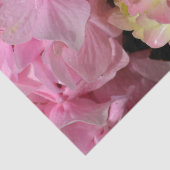 Pink Cream Hydrangeas gelb rosa grüne Blüte Seidenpapier (Ausschnitt)