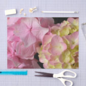 Pink Cream Hydrangeas gelb rosa grüne Blüte Seidenpapier (Handwerk)