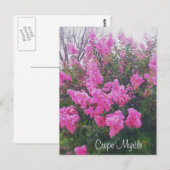 Pink Crepe Myrtle Nature Art Foto mit Text Postkarte (Vorne/Hinten)