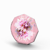 Pink Crocus Blume Bouquet Fotoblock (Rechts)