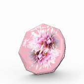 Pink Crocus Blume Bouquet Fotoblock (Links)
