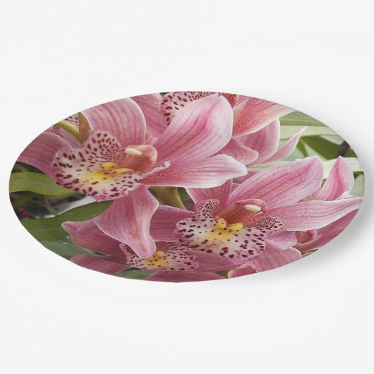 Pink Cymbidium Orchids Floral Pappteller (Schrägansicht)