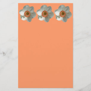 Pink Daffodin Frühlingszeit Blume Briefpapier