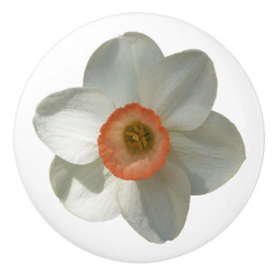 Pink Daffodin Frühlingszeit Blume Keramikknauf