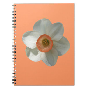 Pink Daffodin Frühlingszeit Blume Notizblock