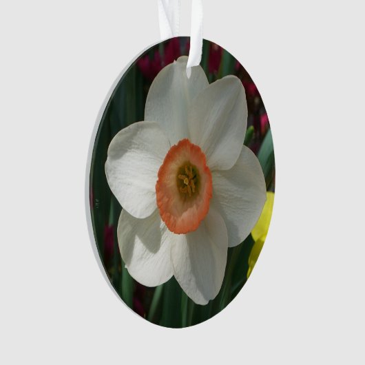 Pink Daffodin Frühlingszeit Blume Ornament (Vorderseite)