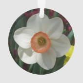 Pink Daffodin Frühlingszeit Blume Ornament (Rückseite)