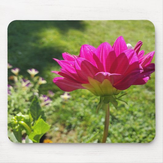 Pink Dahila Mousepad (Vorne)
