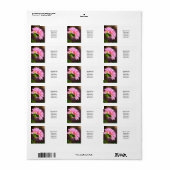 Pink Dahlia Adressaufkleber (Vorne)