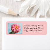 Pink Dahlia Bloom Rücksendeadresse (Insitu)