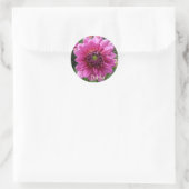 Pink Dahlia Bloom Runder Aufkleber (Tasche)