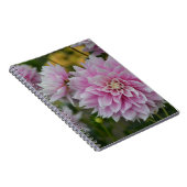 Pink Dahlia Blume im RHS Garden Wisley Notizblock (Rechte Seite)