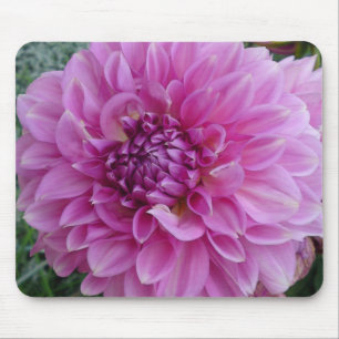 Pink Dahlia Blume Mousepad