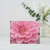 Pink Dahlia Blume Postkarte (Stehend Vorderseite)
