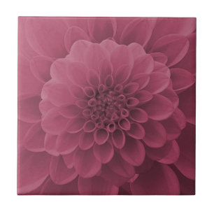 Pink Dahlia Fliese