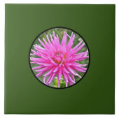 Pink Dahlia Fliese (Vorderseite)