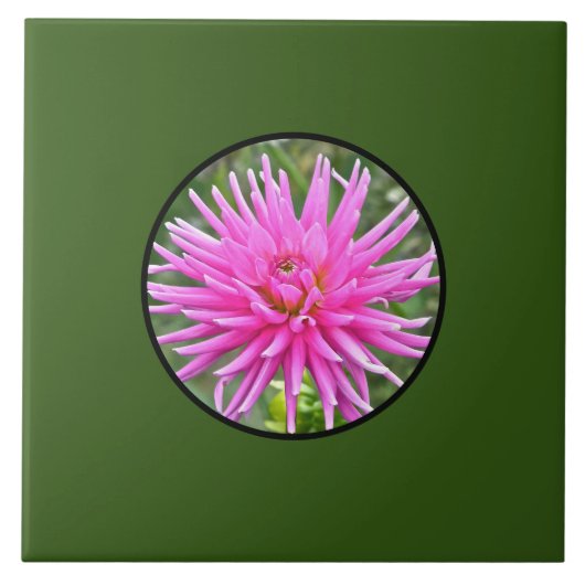 Pink Dahlia Fliese (Vorderseite)
