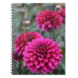 Pink Dahlia Floral Fotobuch Notizblock
