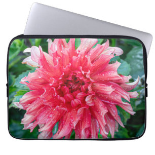 Pink Dahlia Fotografie, kanadische Blume Laptopschutzhülle