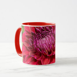 Pink Dahlia Fotografie, Kanadische Schöne Blume Tasse