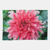 Pink Dahlia Fotografie, kanadische Schönheit Geschirrtuch (Horizontal)