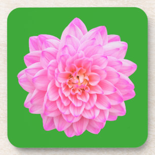 Pink Dahlia Getränkeküste von Jo Images Getränkeuntersetzer